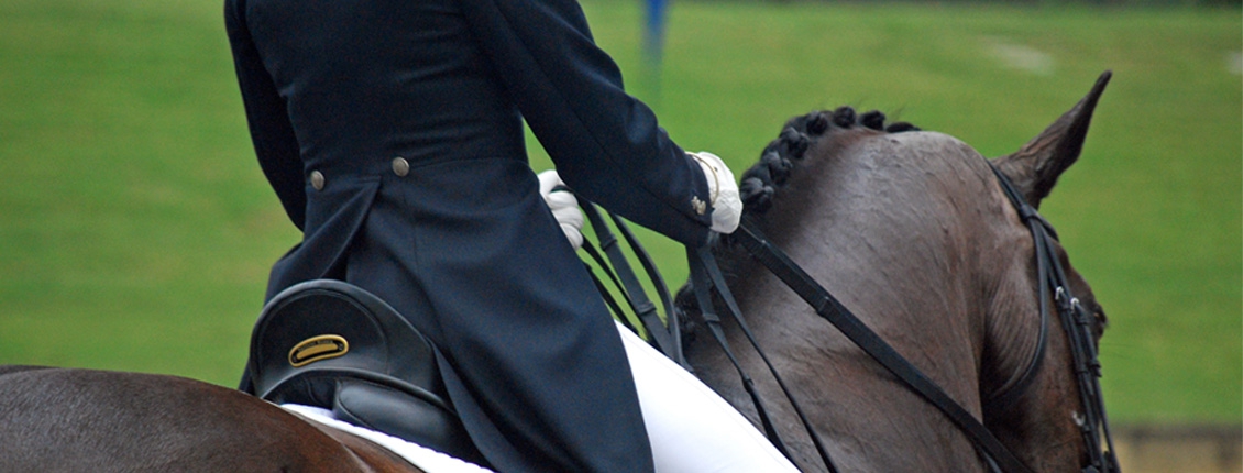 2019 NSW Dressage Squad Announcement | Dressage New South Wales